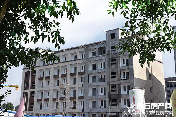 有品牌、有名校，有环境、有支持，这才是最具潜力区域？