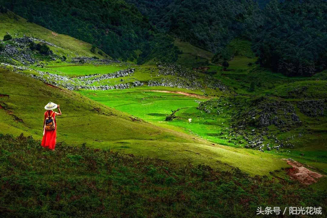 攀枝花周边一日游最佳路线,攀枝花周边有什么好玩的地方