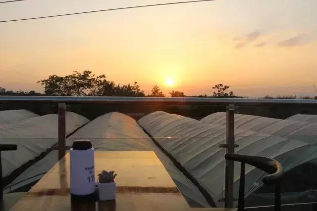 酒吧青白江,酒吧世界杯完整版