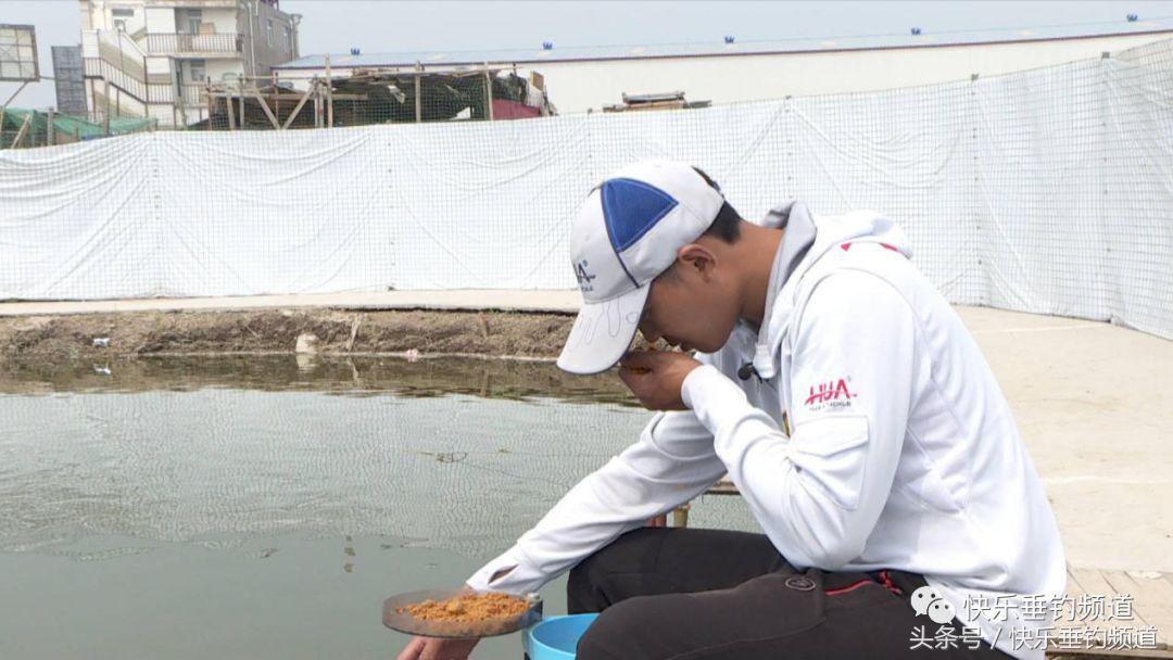 夏钓鲤鱼线组,野钓鲤鱼怎么抓口最准确