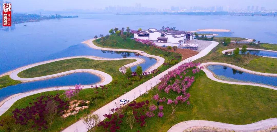 世界杯任意球大赛贝克汉姆,贝克汉姆罗纳尔多世界杯