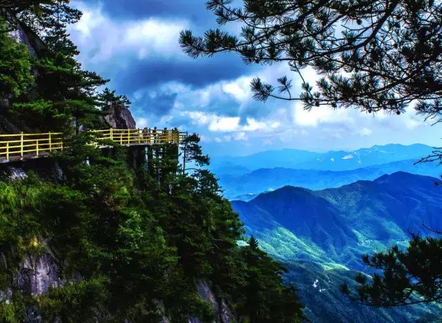 赣州哪座山有玻璃栈道,江西赣州三百山玻璃栈道
