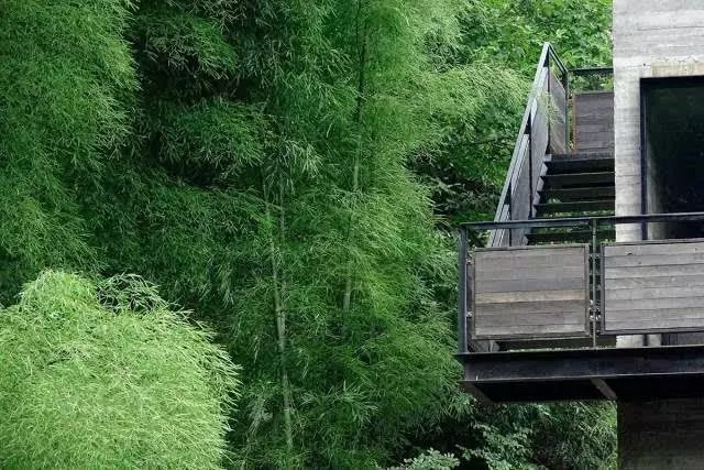 端午小假期旅行计划,端午小假期出行计划