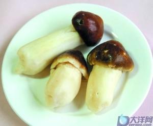 开伞的松茸菌,松茸菇会产生孢子菌吗