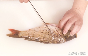 怎样炖鱼最好吃最简单的方法,最简单的炖鱼方法