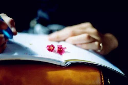 端午节|粽里寻Ta千百度,那人却在钻石婚恋处!