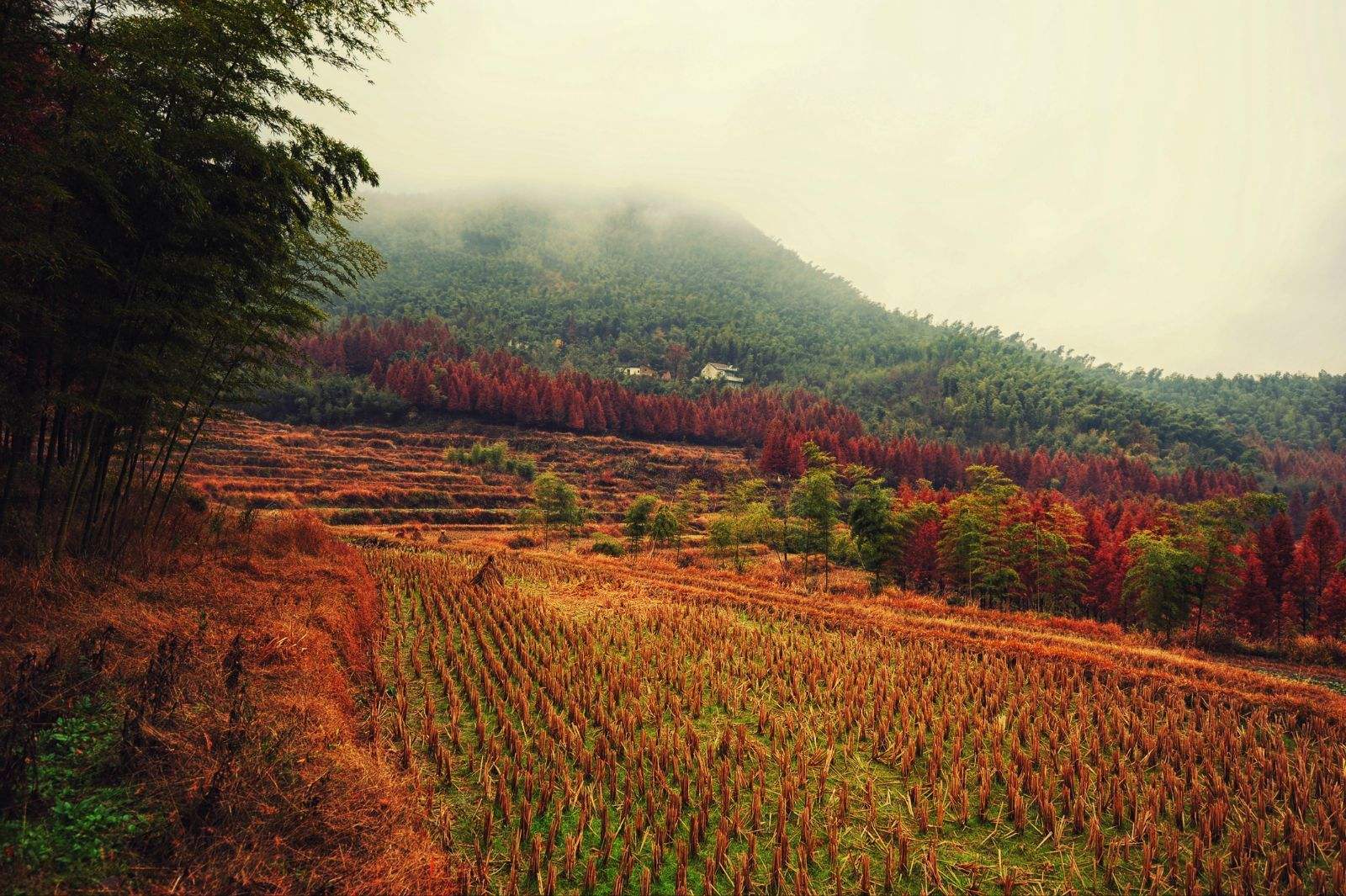 广德交通的格局,广德交通最新消息
