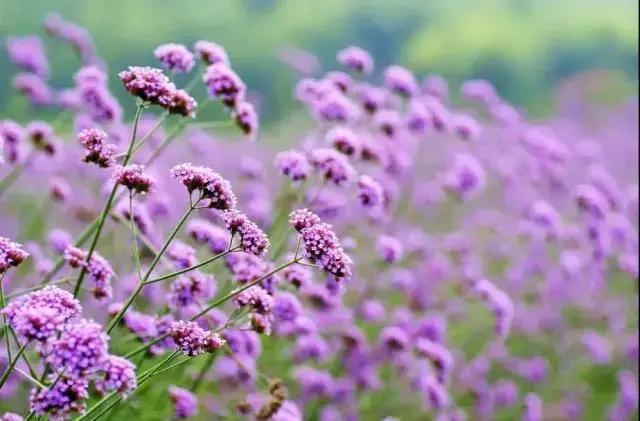 义乌游玩好去处义乌海洋世界,义乌五一亲子游推荐水上乐园