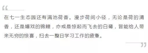 义乌游玩好去处义乌海洋世界,义乌五一亲子游推荐水上乐园