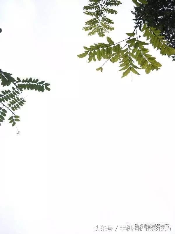 照片怎么做更吸引人,技巧如何让你的照片充满吸引力