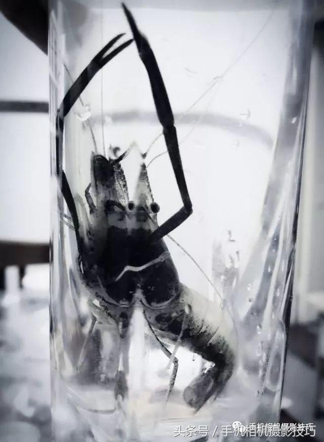 怎么学会给图片起名字呢,如何给照片取名字呢