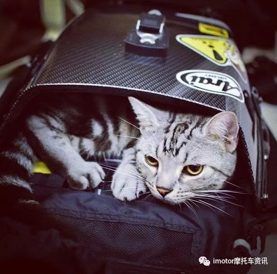 超高性价比户外装备,性价比超高微物装备