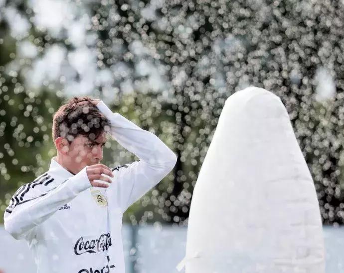 世界杯肉肉的仙人球,世界杯金肉肉