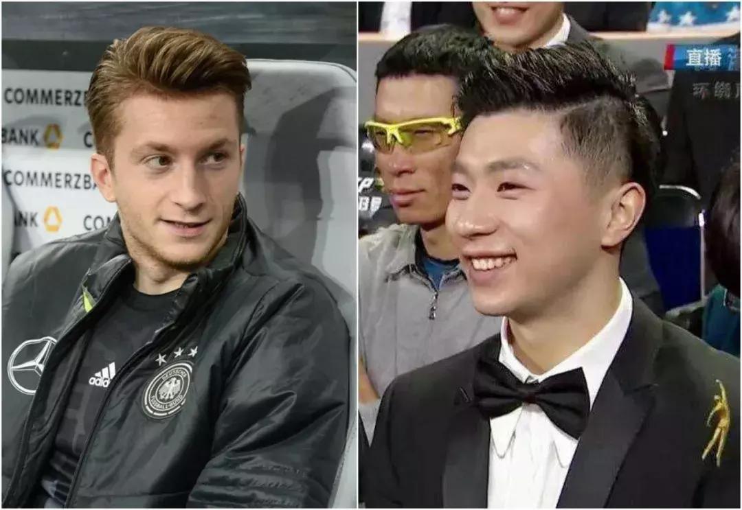 世界杯肉肉的仙人球,世界杯胖嘟嘟