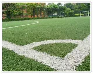 中国世界杯十大专业足球场,黄埔足球世界杯