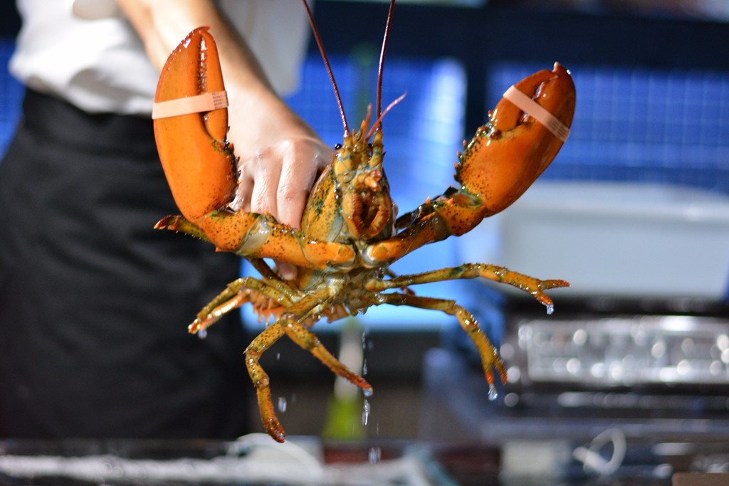 徐记海鲜雁南一路店电话,徐记九头鸟肥牛海鲜价格