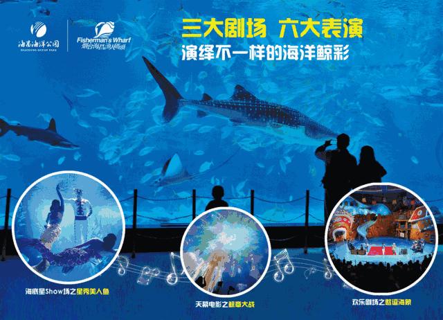 海底足球大赛,青岛海底世界杯