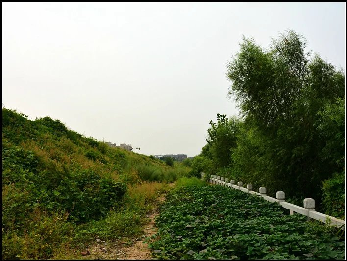 山东淄博六哥,六哥逛淄博