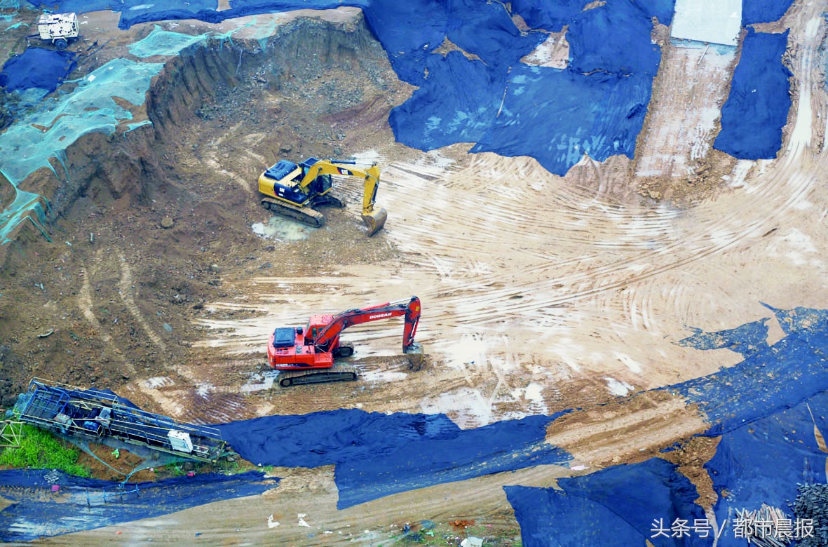 枫林学府比较枫林天下康城,枫林天下学府