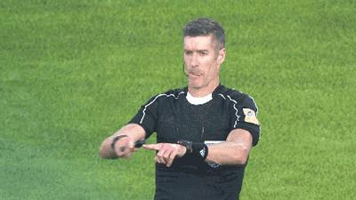 世界杯视频裁判改判,世界杯裁判精彩片段