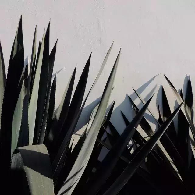 别就知道买买买20个不超50块却让你幸福感飙升的玩意儿