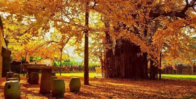 太焦高铁晋城东站最新准确消息,太焦线晋城高铁