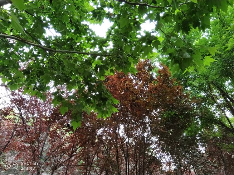 带拍照功能的游戏,手机除游戏拍照还有什么刚需性能