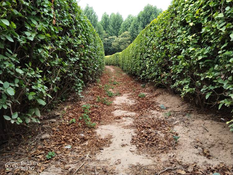 带拍照功能的游戏,手机除游戏拍照还有什么刚需性能