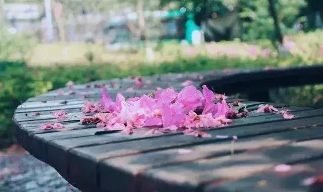 云南最好的大学是哪个大学,云南最好农校