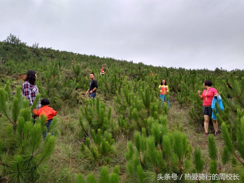 骑行罗茨，愉快的端午节欢乐游！