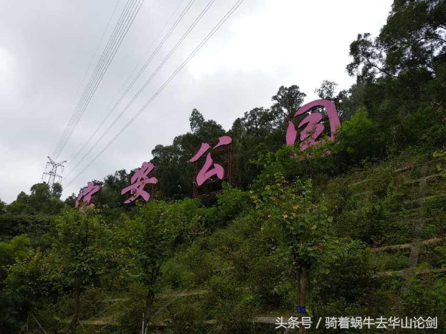 第一次去深圳感觉到了未来,深圳宝安公园一日游攻略