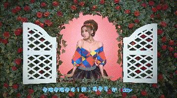 张国立给那英拍的mv,进化论mv