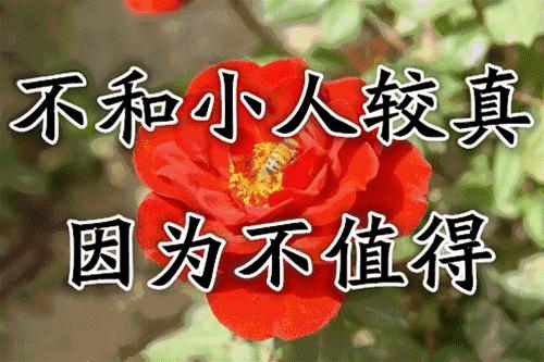 难忘老同学相聚,难忘同窗情诗词祝福语