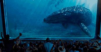 25年了，这部疯狂的大片，现在拍成了流水账