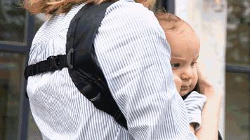 澳洲袋鼠一胎多少个子,澳洲袋鼠多了会怎么样