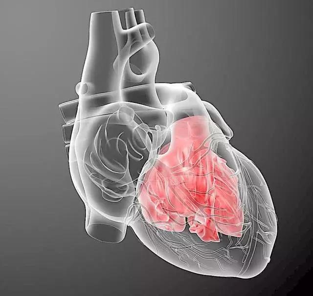 踢球和篮球哪个危险,踢球的危险性有多强