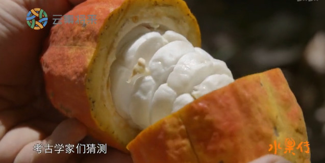 中国顶级美食纪录片,中国顶尖美食纪录片