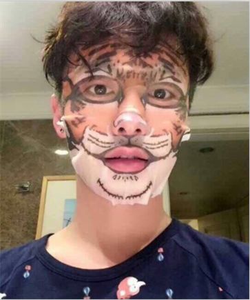 lv定制款狗狗包,lv上画熊猫的包