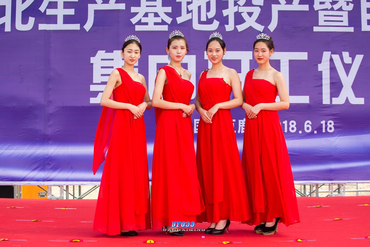 好厉害的大巨鹿一串红杏就过成了大年