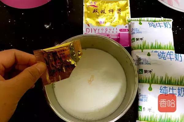 怎样用电饭煲制作酸奶教程,电饭煲自制酸奶的家常做法