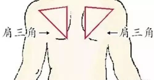 人体八大黄金穴,人体九大系统对应的器官