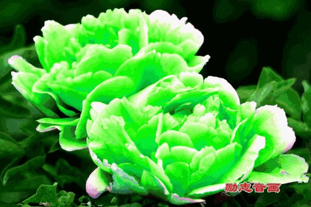 今天6月20日，八句话，送给亲爱的朋友们，写的太好了！