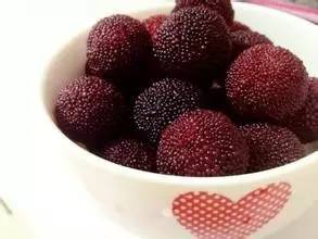 担心杨梅生虫不敢吃什么原因,杨梅有小虫子还能吃吗