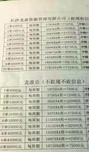 湖南公司涉嫌非法集资,龙盈诈骗案