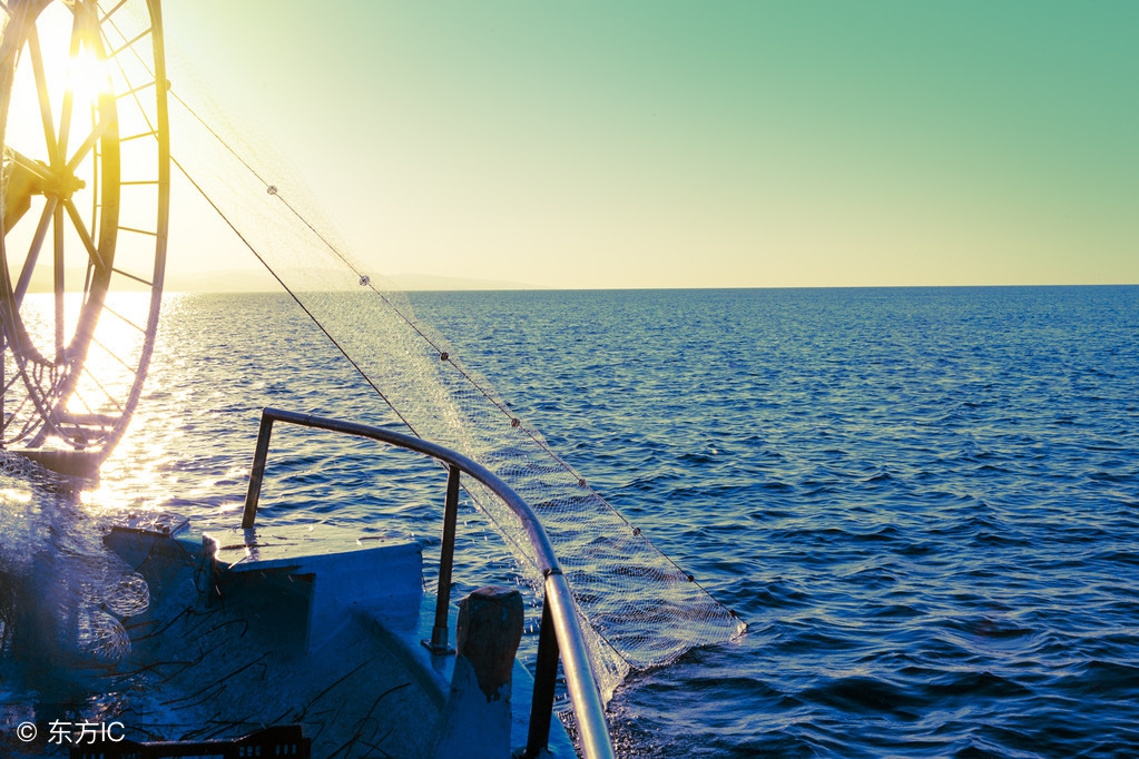 鳕鱼拿什么钓,鳕鱼从哪钓