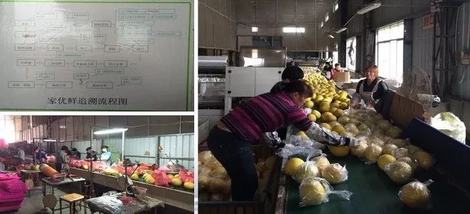 总有一款适合你春耕备耕进行中,现代农业案例分享