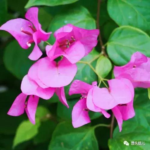 泰国旅游攻略大概多少钱,泰国尖竹汶府旅游攻略