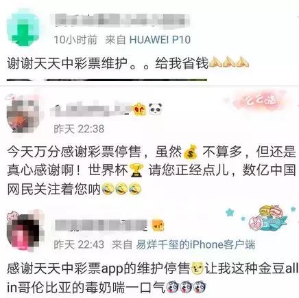 中国体育彩票世界杯竞猜停售,竞彩世界杯体育彩票