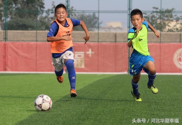 足球青训观察完整视频,青训观察颜色