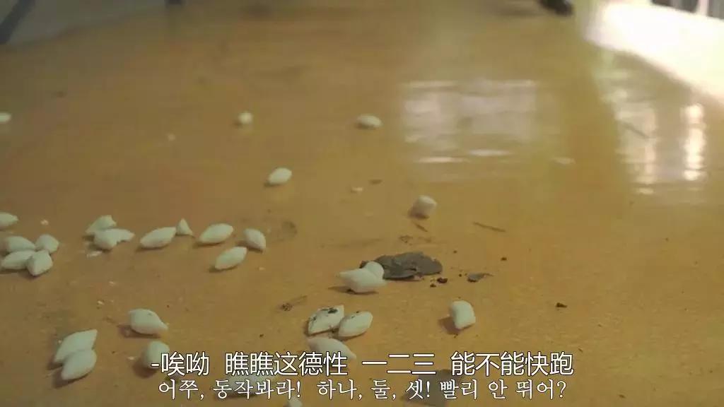 5部让你跌破眼镜的神作,十部无尿点的神作